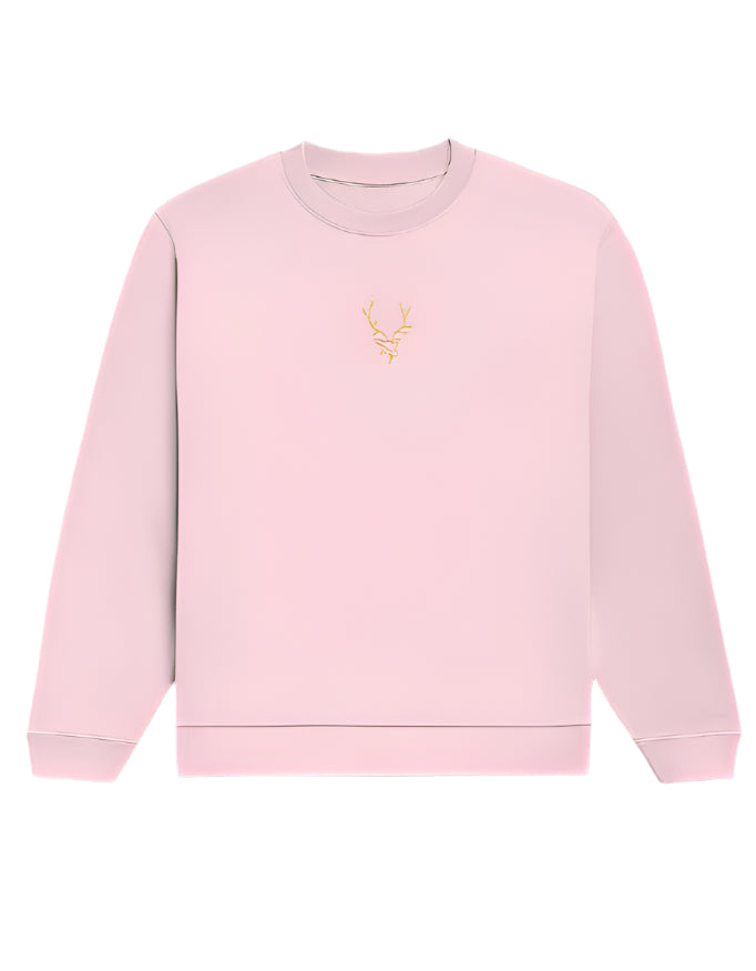 Front_1_c_45.jpg